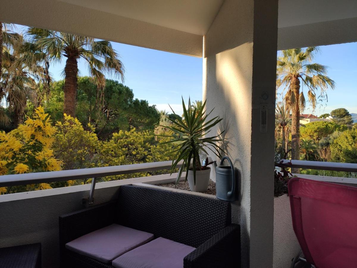 戛纳Tres Beau T2 Dans Parc Montfleury ,Proche Centre ,Au Calme 44 Bd Montfleury公寓 外观 照片