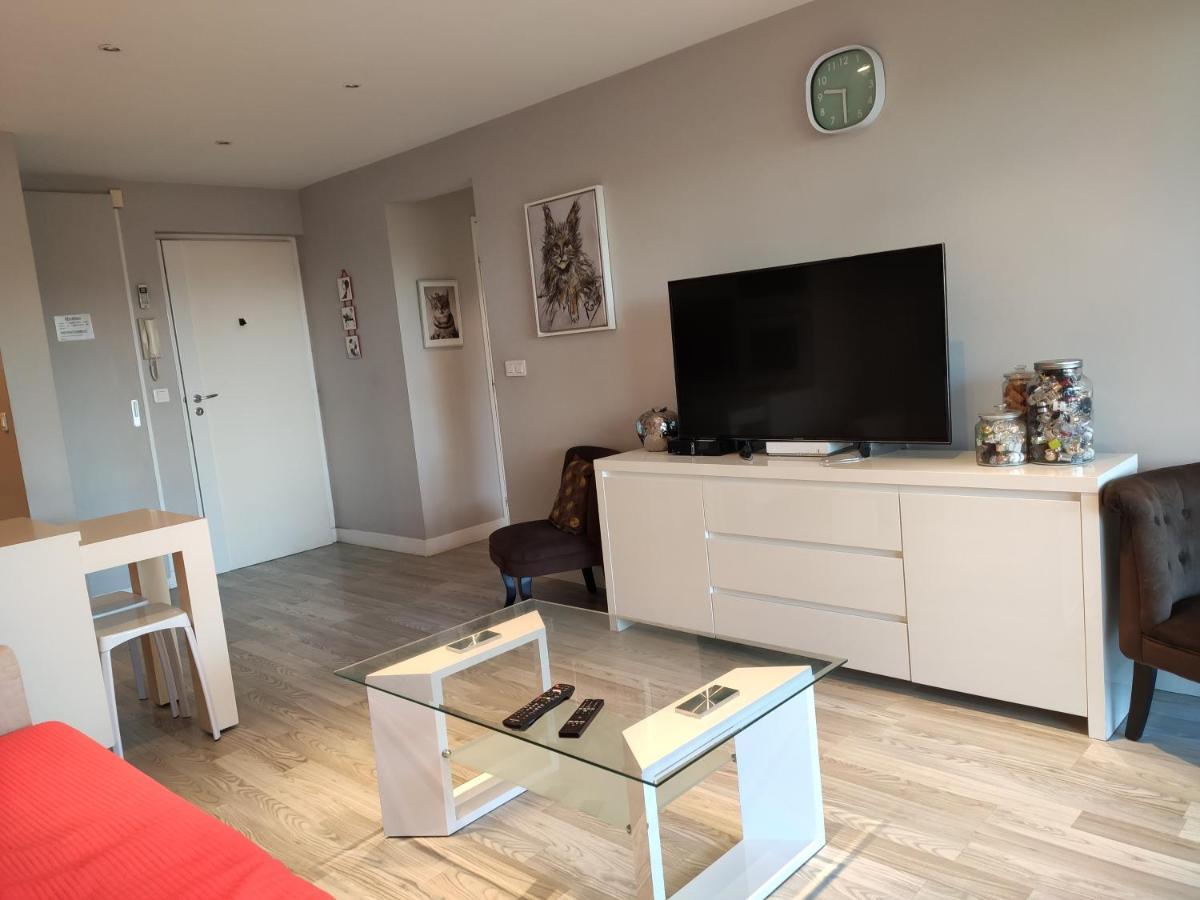 戛纳Tres Beau T2 Dans Parc Montfleury ,Proche Centre ,Au Calme 44 Bd Montfleury公寓 外观 照片