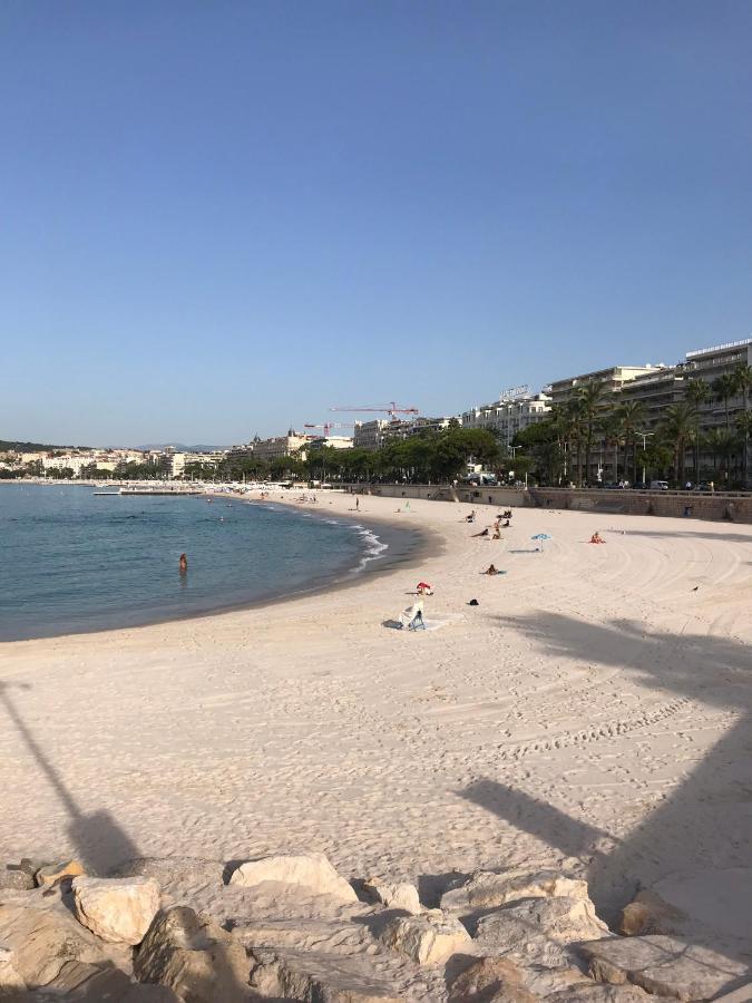 戛纳Tres Beau T2 Dans Parc Montfleury ,Proche Centre ,Au Calme 44 Bd Montfleury公寓 外观 照片